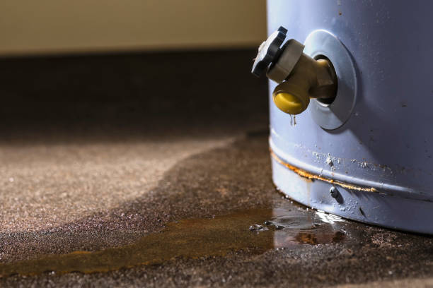 Best Water damage cleanup near me  in Washington, DC