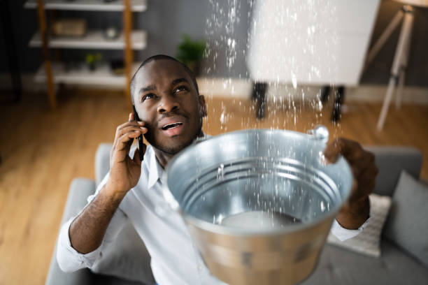 Best Flood restoration services  in Washington, DC