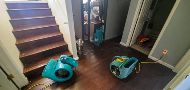  Washington, DC Water damage restoration Pros