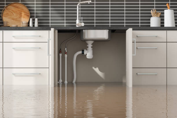 Best Water damage restoration near me  in Washington, DC
