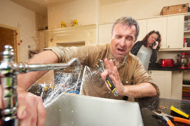 Best Flooded house restoration  in Washington, DC
